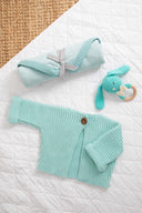 Baby Breeze Aqua Bundle | DLUX Newborn Gift