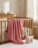 Little Llama Luxury Baby Gift Set