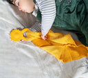 Ari Lion Comforter with Silicone Teether
