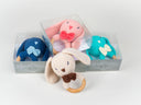 Floppy Baby Bunny Teether Rattle