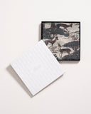 Nirvana Toile de Jouy Print Wool Silk Cashmere Blend Scarf